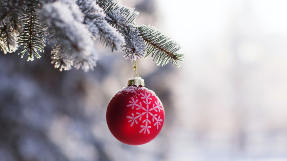 5 Holiday Destinations Not to Be Missed in the Twin Cities | Counselor Realty