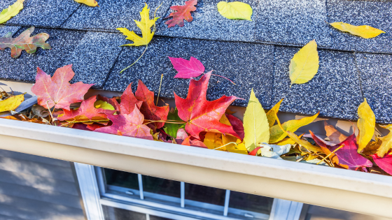 How to Prepare Your Twin Cities Home for Cooler Weather | Counselor Realty
